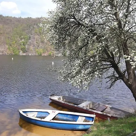 лесной нова Vila