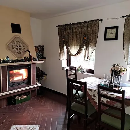 Vila лесной нова