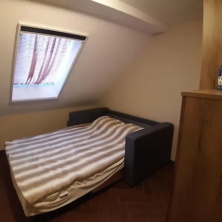 Vila лесной нова