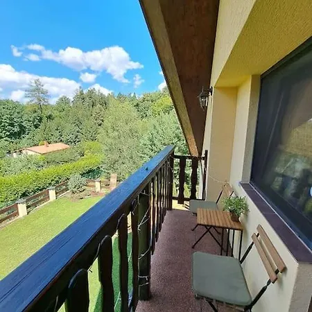 Vila лесной нова