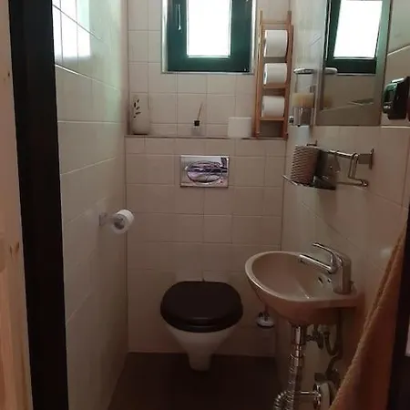 Vila лесной нова Zivohost