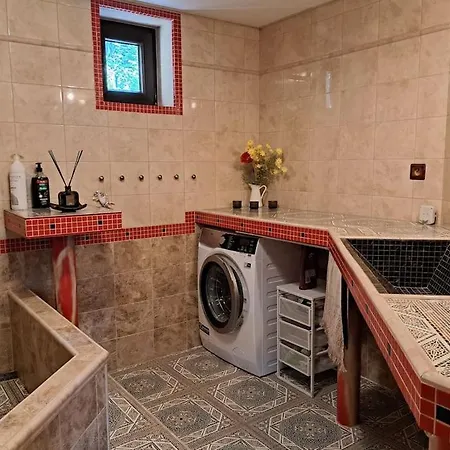 Vila лесной нова *