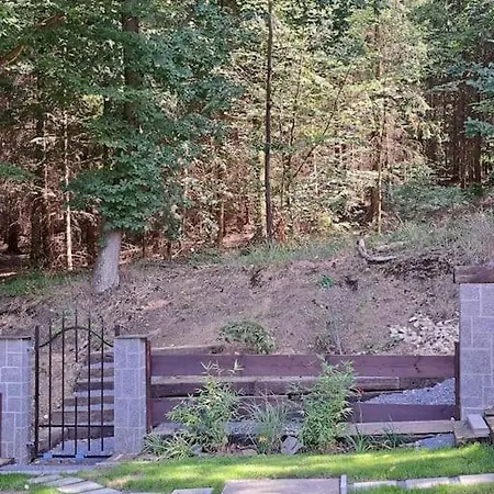 Vila лесной нова