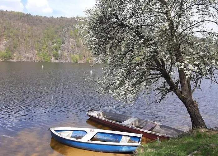 лесной нова Vila