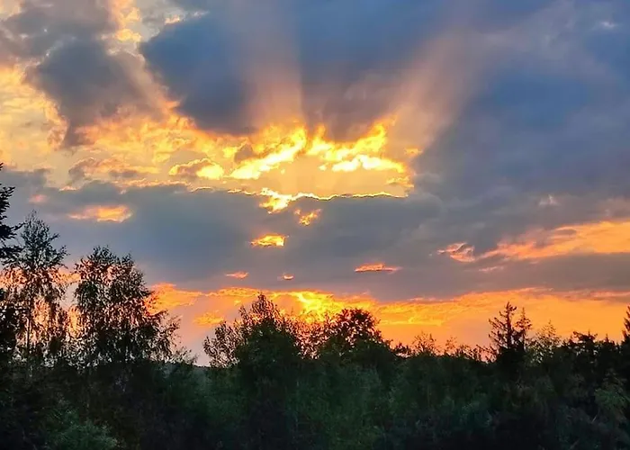 Vila лесной нова *