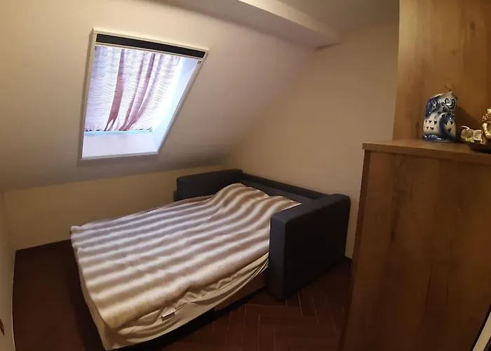 Vila лесной нова