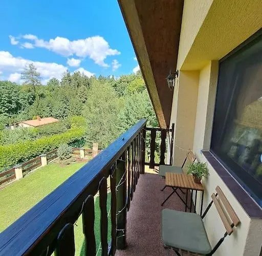 Vila лесной нова