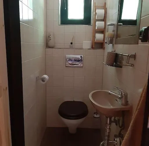 Vila лесной нова Zivohost