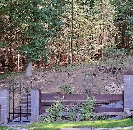 Vila лесной нова